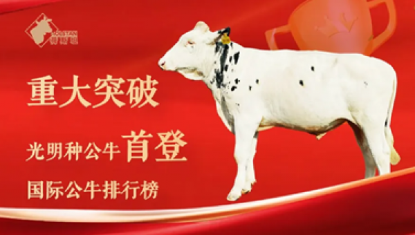 光明乳業實現重大突破
